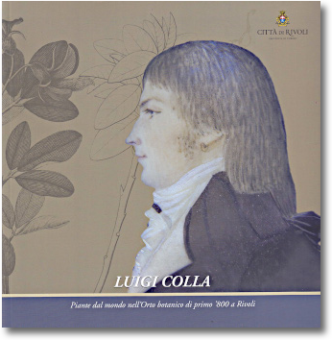 Luigi Colla, piante dal mondo a Rivoli Luigi Colla, piante dal mondo a Rivoli