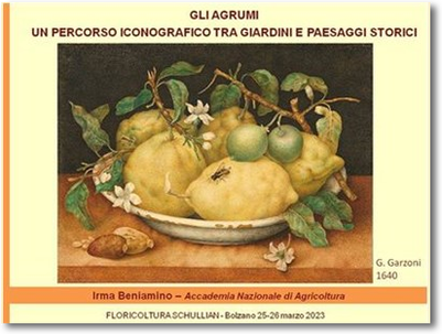 Gli Agrumi - percorso iconografico