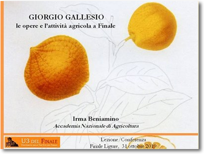 Gallesio, le opere a Finale