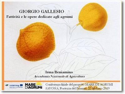 Gallesio, l'attività e le opere dedicate agli agrumi