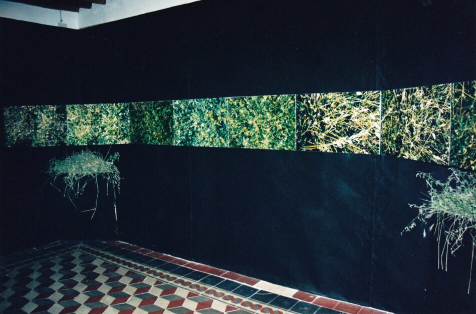 Sala 1 Spoerri